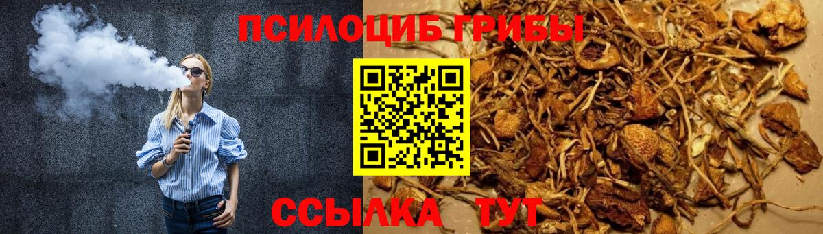 Белогорск  Галлюциногенные грибы прущие грибы  Вход с VPN 